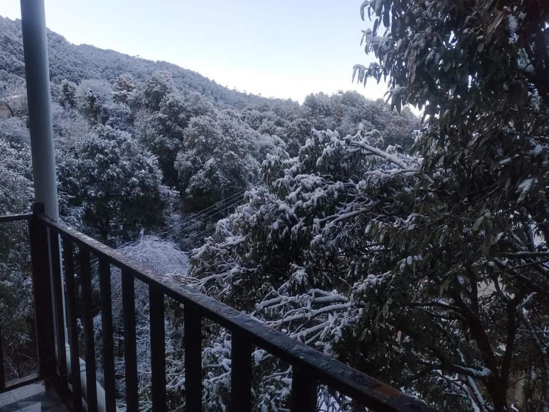 דלהאוזי Oak Wood Homestay Banikhet מראה חיצוני תמונה